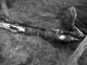FileNo.066-041.jpg