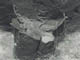 FileNo.067-003.jpg