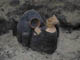 FileNo.067-018.jpg