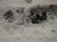 FileNo.067-024.jpg