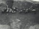FileNo.067-029.jpg
