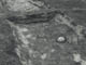 FileNo.067-033.jpg