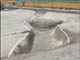 FileNo.067-039.jpg