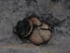 FileNo.067-042.jpg