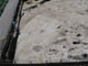 FileNo.067-043.jpg
