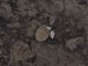 FileNo.067-044.jpg