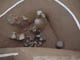 FileNo.068-003.jpg