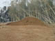 FileNo.069-001.jpg