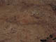 FileNo.069-005.jpg