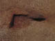 FileNo.069-006.jpg