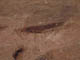 FileNo.069-008.jpg