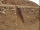 FileNo.069-012.jpg