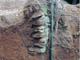 FileNo.069-013.jpg