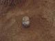 FileNo.069-023.jpg