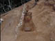 FileNo.069-024.jpg