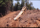 FileNo.069-S12.jpg