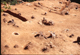 FileNo.069-S14.jpg