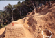 FileNo.069-S17.jpg