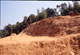 FileNo.069-S18.jpg