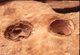 FileNo.069-S20.jpg
