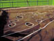 FileNo.070-095.jpg