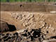 FileNo.070-097.jpg