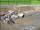 FileNo.070-110.jpg