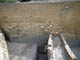 FileNo.070-114.jpg