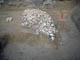 FileNo.070-135.jpg