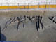 FileNo.070-138.jpg