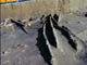 FileNo.070-139.jpg