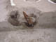 FileNo.071-012.jpg