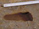 FileNo.072-014.jpg