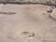 FileNo.072-016.jpg
