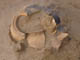 FileNo.072-023.jpg