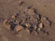 FileNo.072-025.jpg