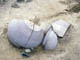 FileNo.072-042.jpg