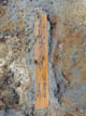 FileNo.072-049.jpg