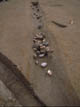 FileNo.072-060.jpg