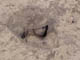FileNo.073-002.jpg