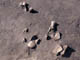 FileNo.073-003.jpg