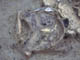 FileNo.073-020.jpg