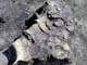 FileNo.073-022.jpg
