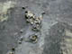 FileNo.073-024.jpg