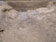 FileNo.073-043.jpg