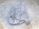 FileNo.074-007.jpg