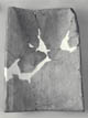 FileNo.074-052.jpg