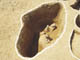 FileNo.075a-011.jpg