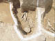 FileNo.075a-020.jpg