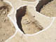 FileNo.075a-024.jpg
